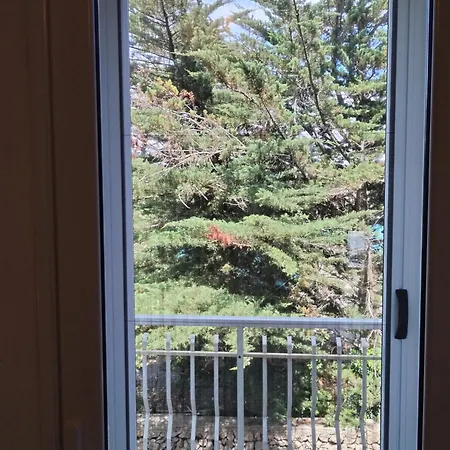 Scala Di Furno - Ginepro